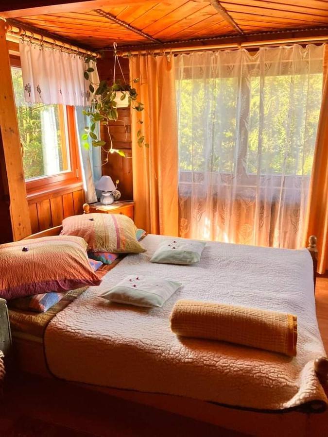 Chalupa Na Wierchu Zakopane Dış mekan fotoğraf
